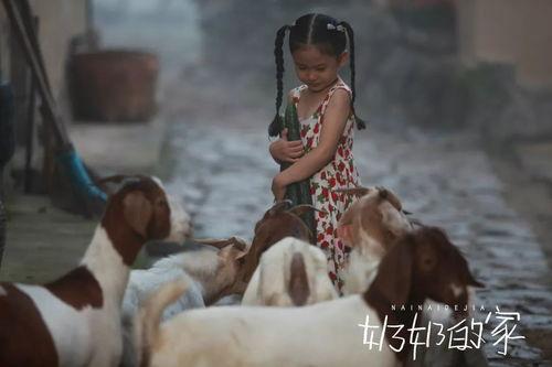 奶奶的家,回忆与感悟