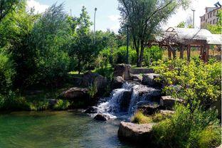 当你走近森林,探寻自然与心灵的交融之旅