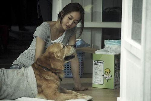 我的狗狗与贴心男友